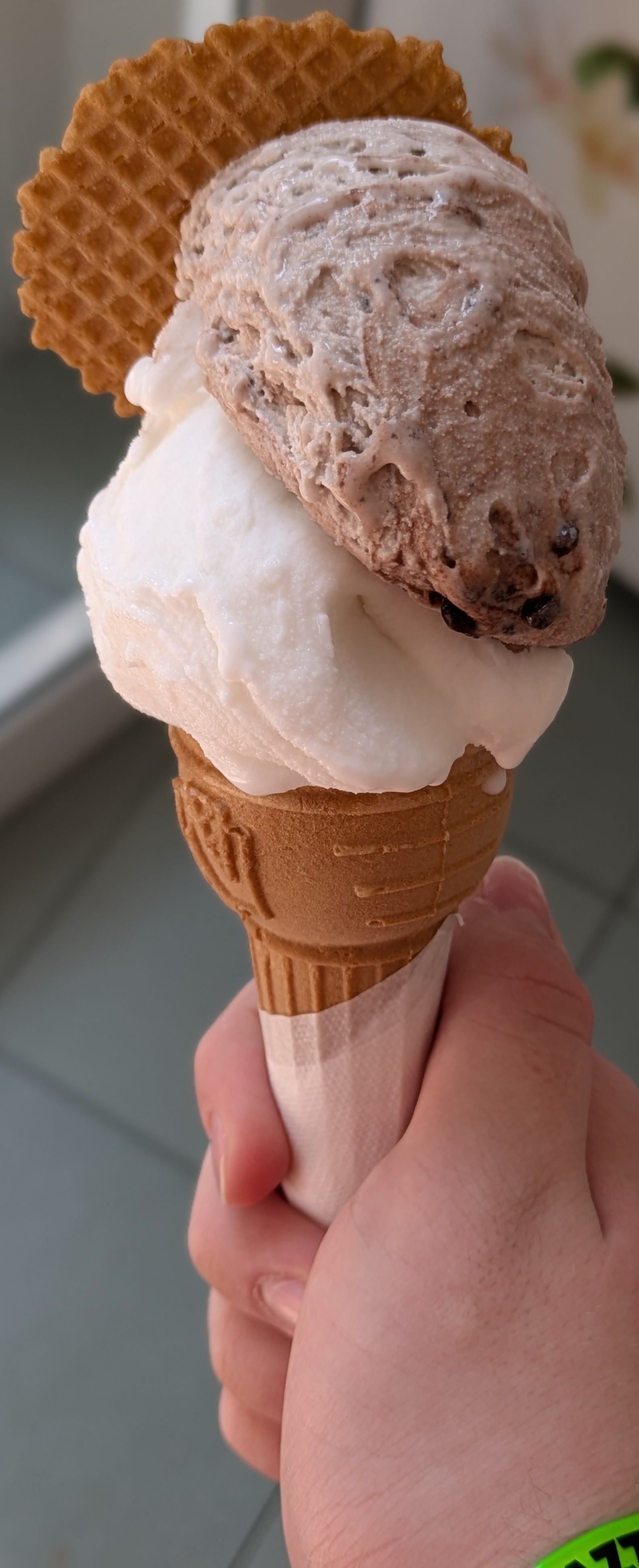 Ice cream (Coconut and Chocolate)